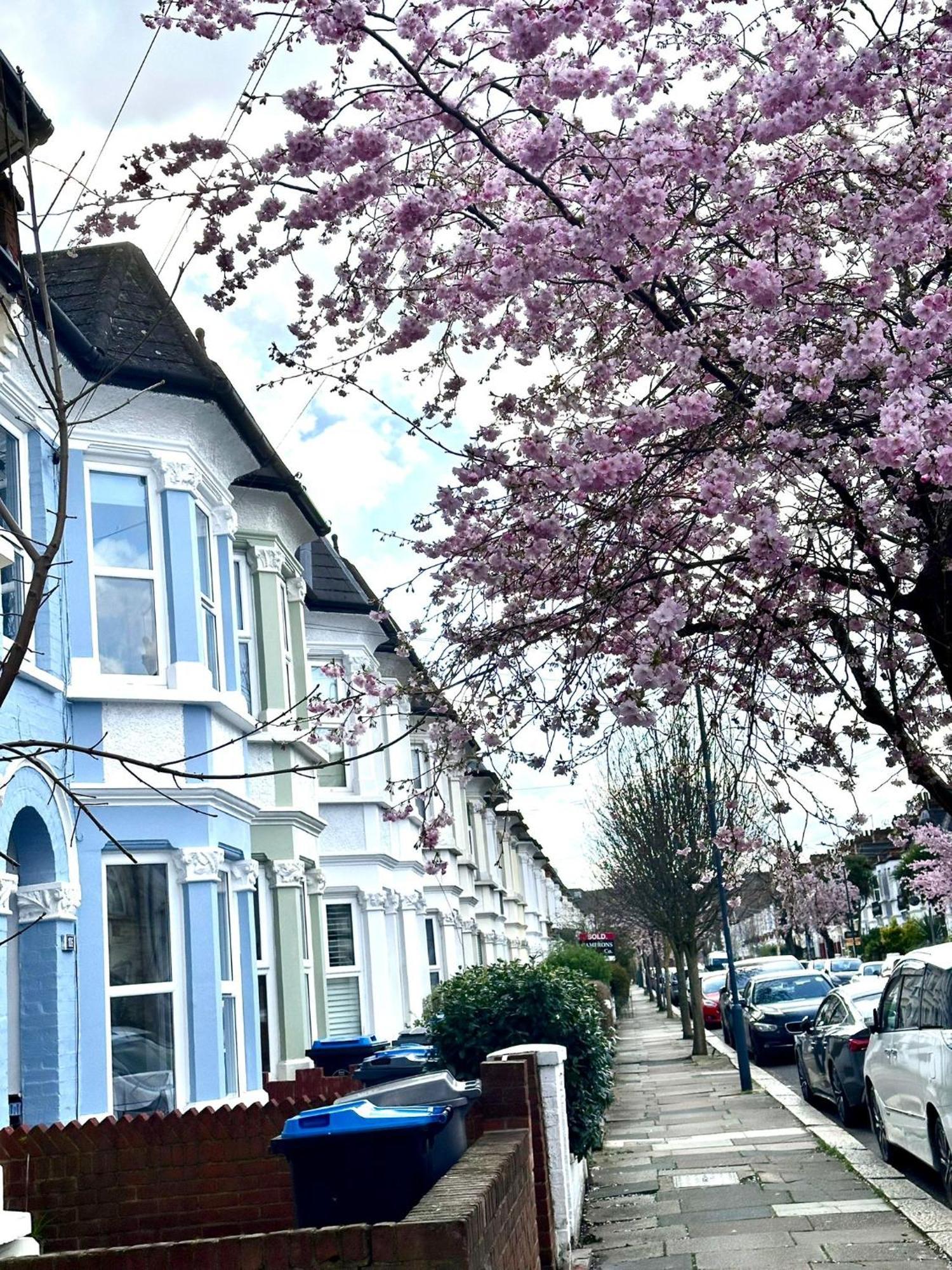 Charming, Renovated Residence In Willesden Green Londres Exterior foto